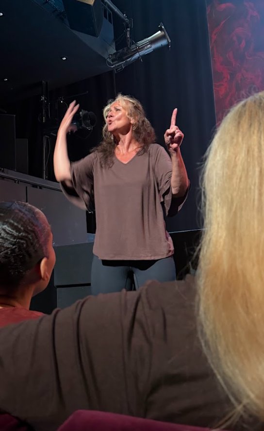 An interpreter signing expressively on stage at a performance, seen from the audience.